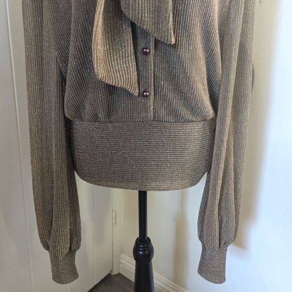 Kristinit Metallic Sheer Blouse Whimsigoth Office Siren Feminine Romantic L - Picture 4 of 10